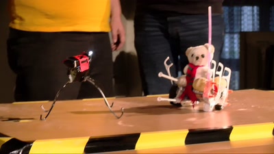 Hebocon Finale
