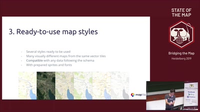 OSM Vector Tiles in custom coordinate systems